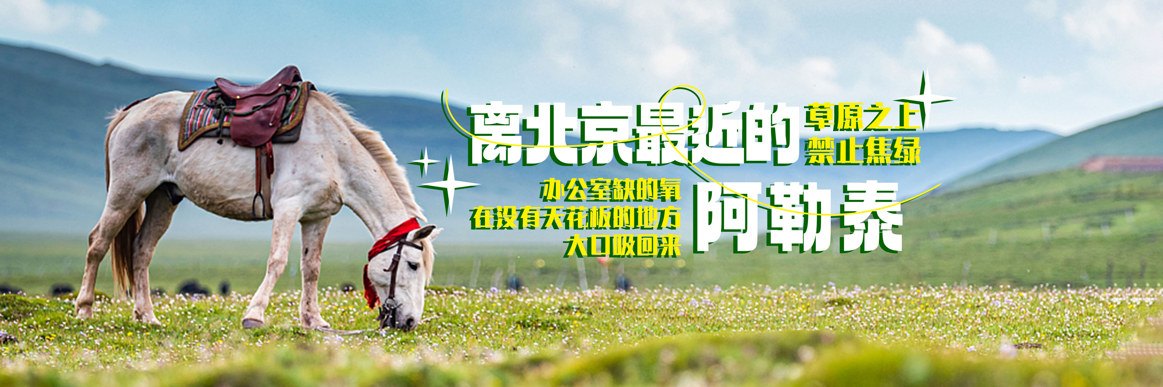 公司团建活动方案,户外拓展训练   公司拓展培训,团队拓展训练,拓展公司